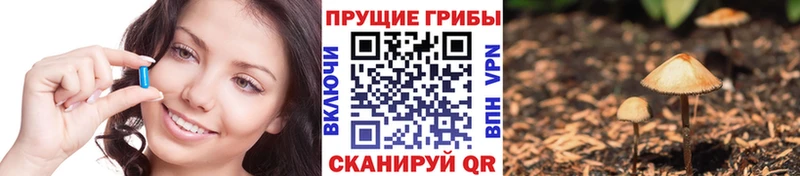 Псилоцибиновые грибы мухоморы  купить наркотик  Балтийск 